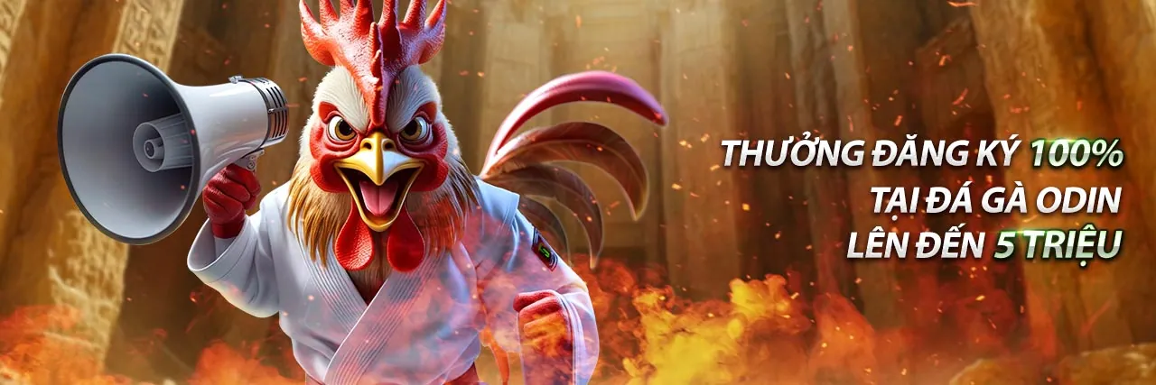 Sân vận động bóng đá với đèn sáng, thể hiện sự sôi động của cá cược thể thao tại đăng nhập 88 online